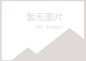 铁岭县友易化学有限公司